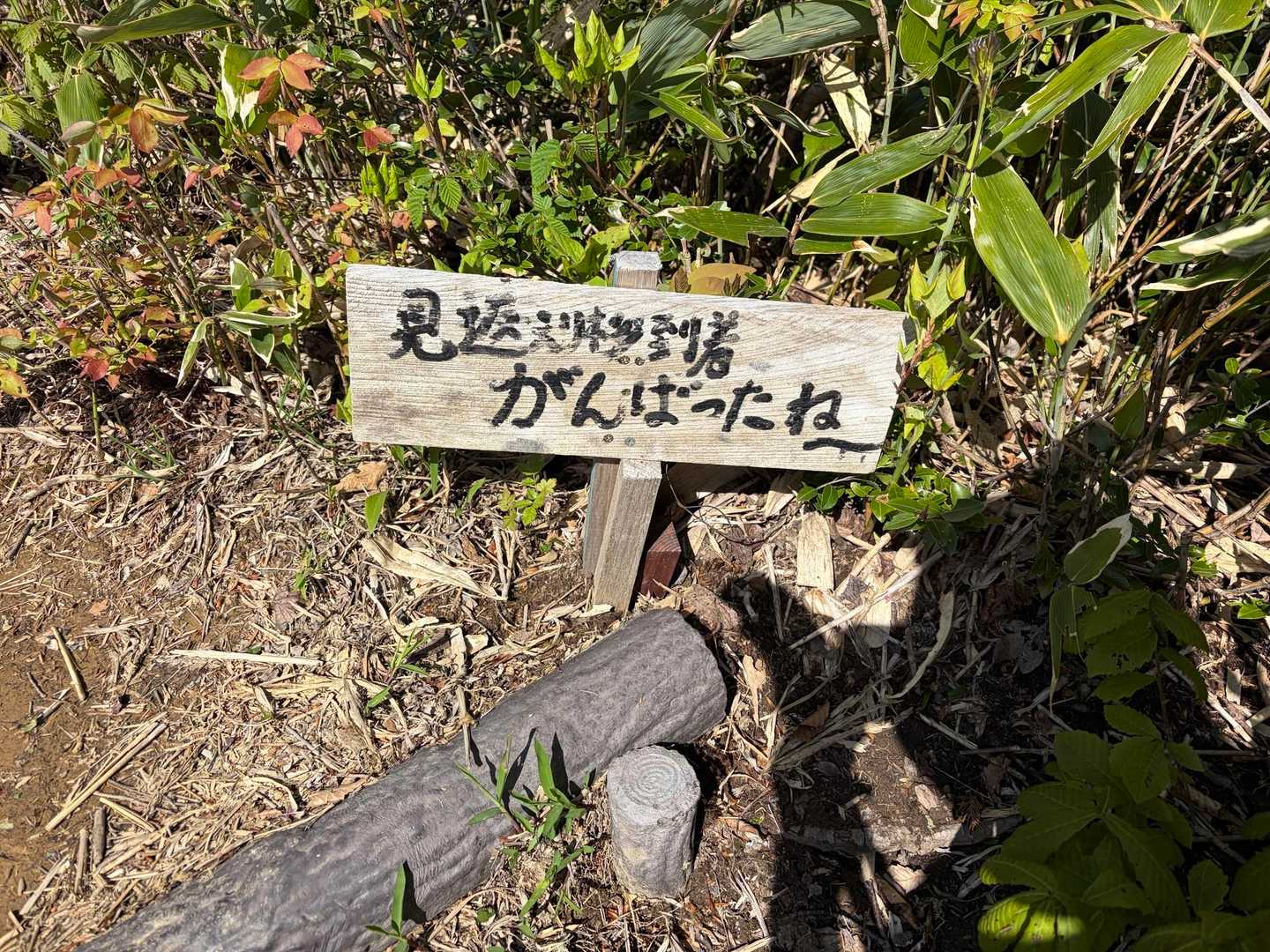 前山-白兀山-蛇尾山-夕霧峠-奥医王山 周回コースの写真
