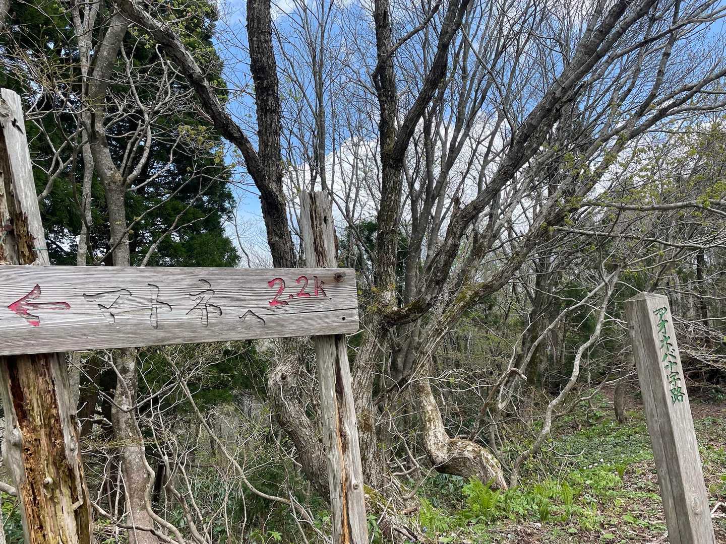 マトネ-カツポラ池-平城畑-石花登山口 縦走コースの写真
