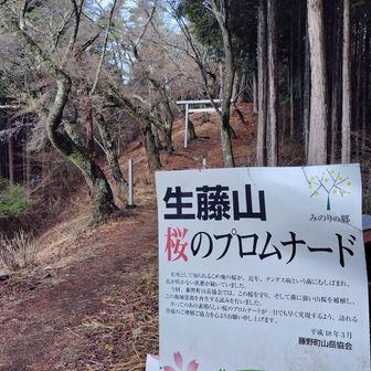 「生藤山桜のプロムナード」
以前あったらしいけど、病気で桜が咲かなくなったので
現在地元の山岳会の方々が再生作業をしているそう
頑張って下さい！