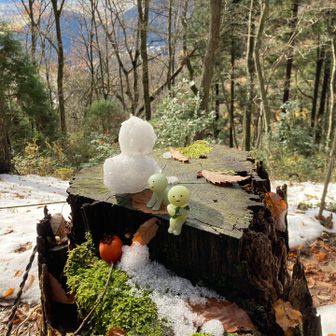 本当は目もつけたけど、取れちゃった。帰りまたねー