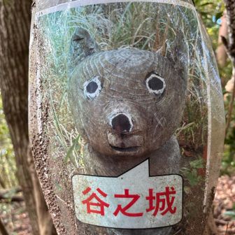 いつもの🐕