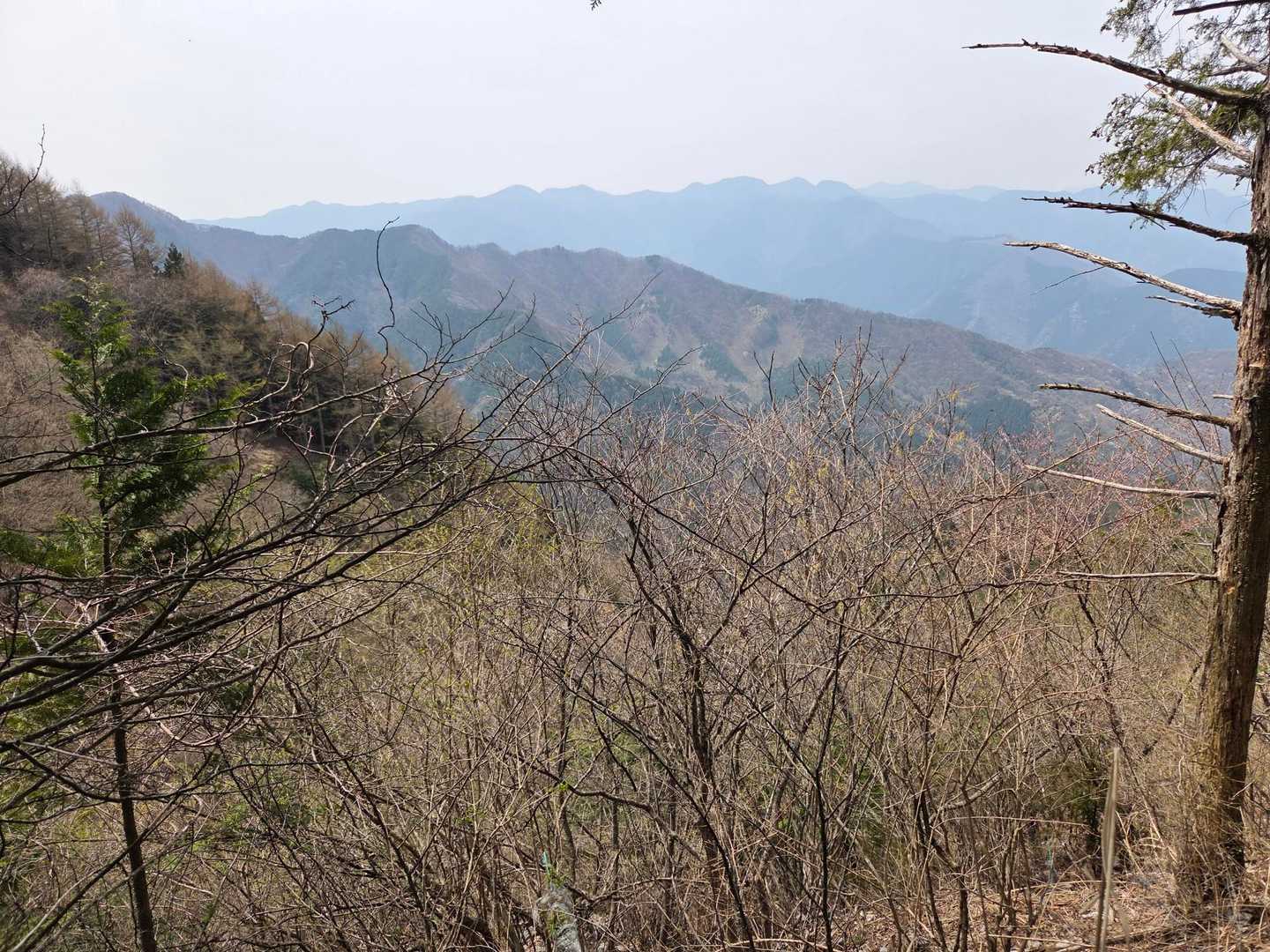 一五丁目登山口-武甲山御嶽神社-武甲山-浦山口駅 縦走コースの写真
