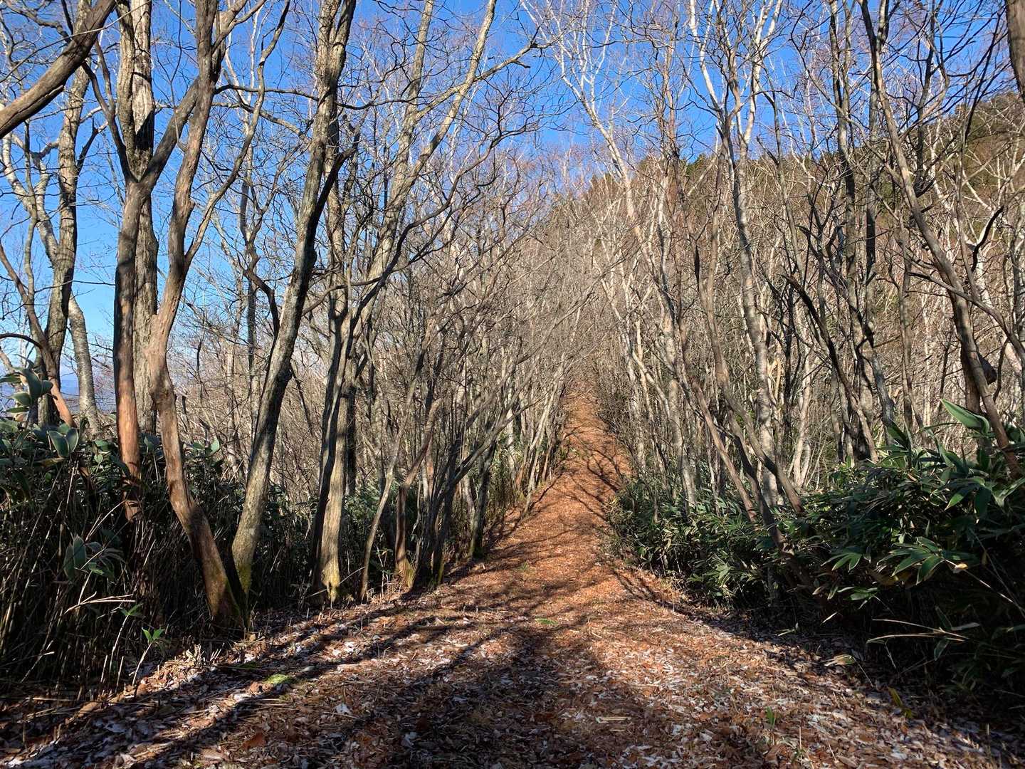 下呂御前山登山口-下呂御前山 往復コースの写真
