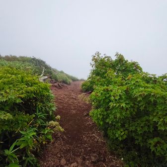 良い感じの稜線です🚶だがガスが😶‍🌫️😶‍🌫️😶‍🌫️
