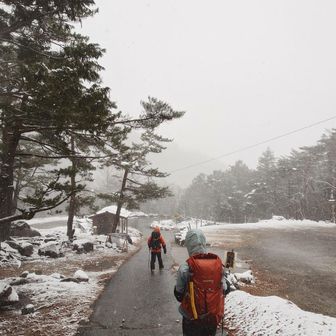 道路に雪無いがチェンスパ付ける