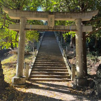 天祖神社を下から。なんか、こういう神社の階段、いいよね。
