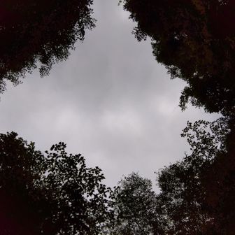 ゴロゴロと聞こえていたけど🙄雨は大丈夫でした😀