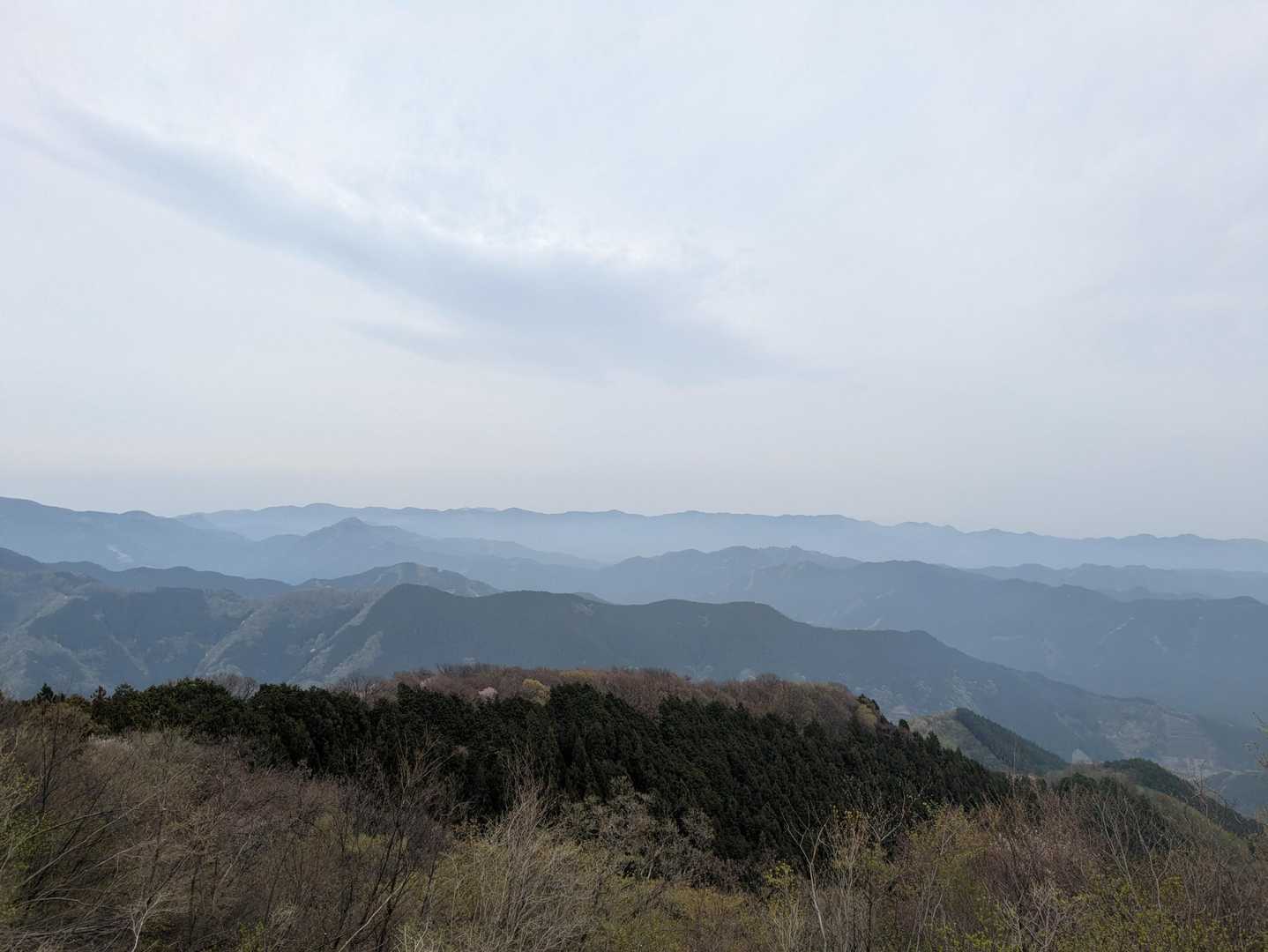 曇ってますが棒ノ折の山頂からよい景色が広がります！