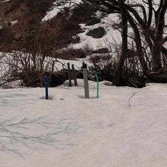 小屋番の出入り口脇にあった水道がポツリ