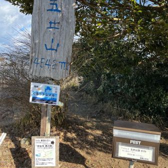 山頂は大賑わい