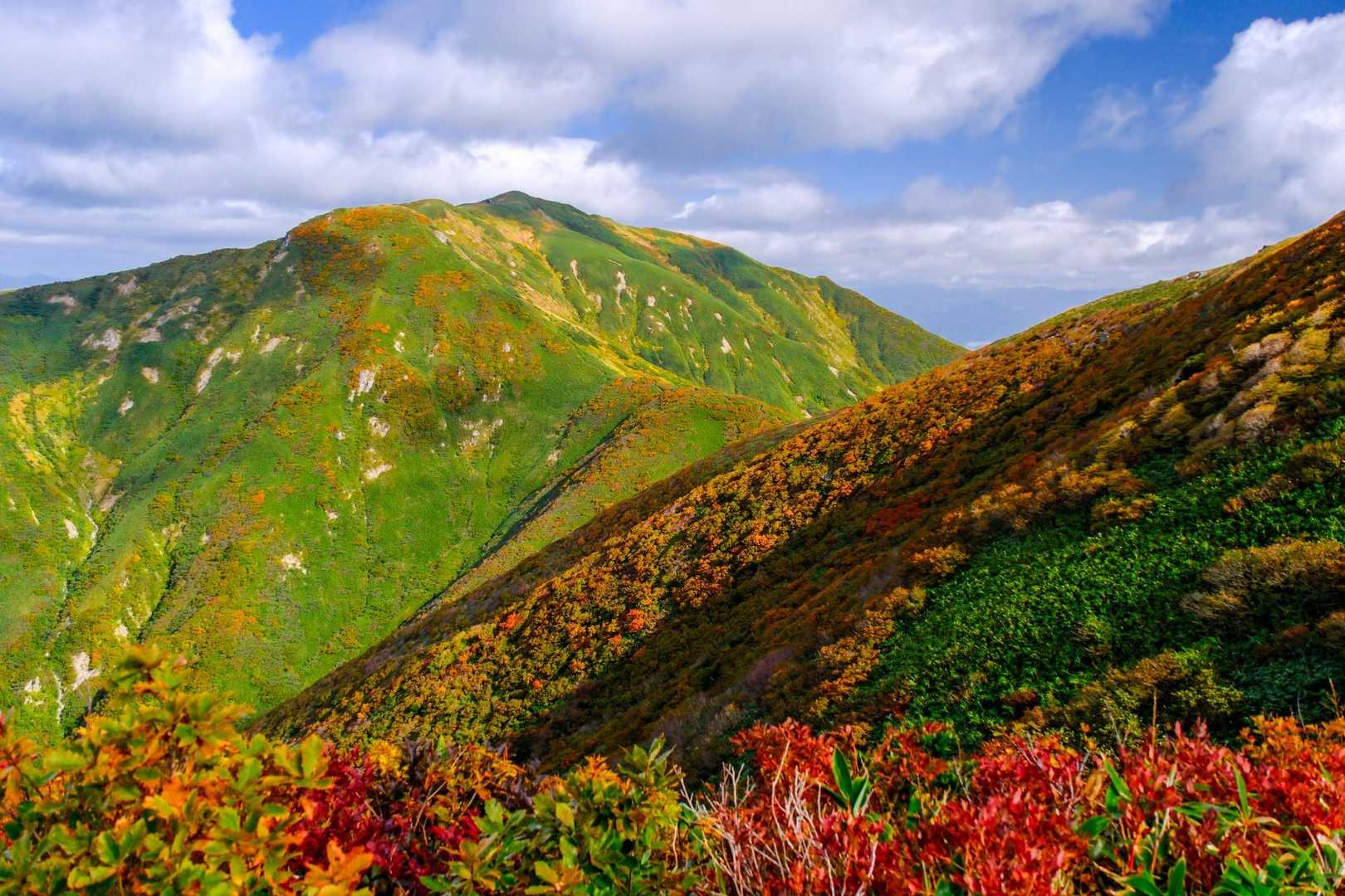 今年の紅葉は…とかそんなことどうでもいいと思える絶景