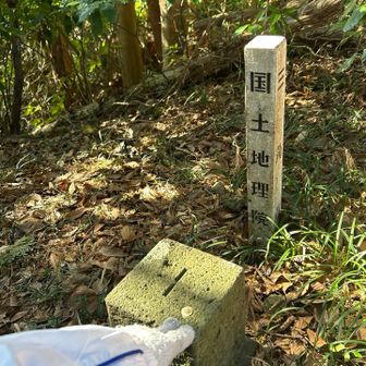 丸子富士に登頂✨ 展望はありません😅