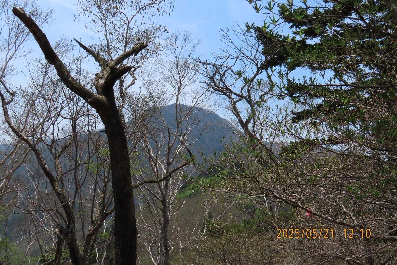 振り向き釈迦ヶ岳。ここまで休みながら来れた👍️😂