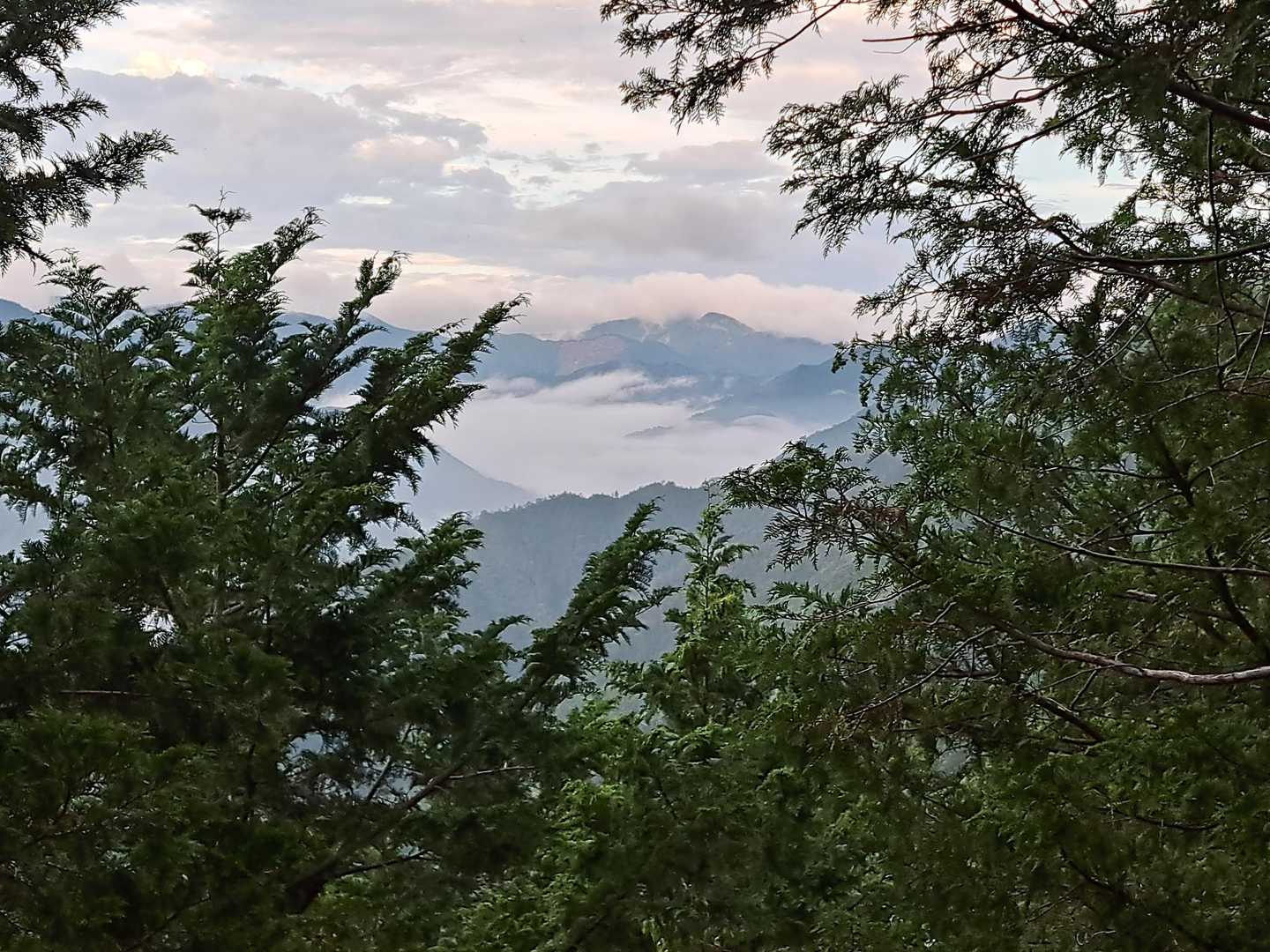 「無理せず一休み」の看板のある所からの雲海