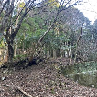 必死に下だったバリルート、結構ハードだったな
おかげで帰りも汗だくでした💦
でもいい時間だったので結果オーライ( ✌︎'ω')✌︎