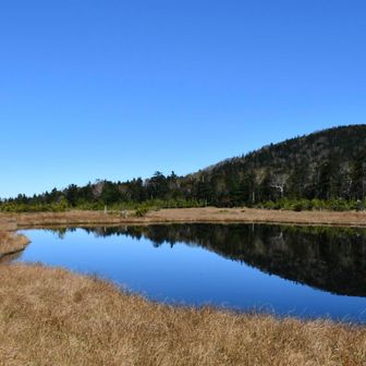そしてたどり着いた鬼怒沼🕳️⛰️
なんじゃこりゃぁ！！！？
標高2020mにある湿原。。。
金色の草原と木道、沼に反射する空と山？
知らない景色すぎて我興奮！
その後ろで泣いてる母上wwwカオス

葬式にはこの写真を使ってくれと懇願されたものの、スーパーポジティブパワータイプBBAな母上なので多分200歳まで生きるだろう。

