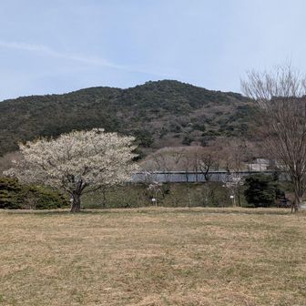 今登った竜王山を望む