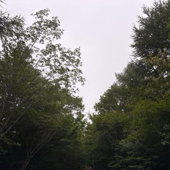 曇ってます。
