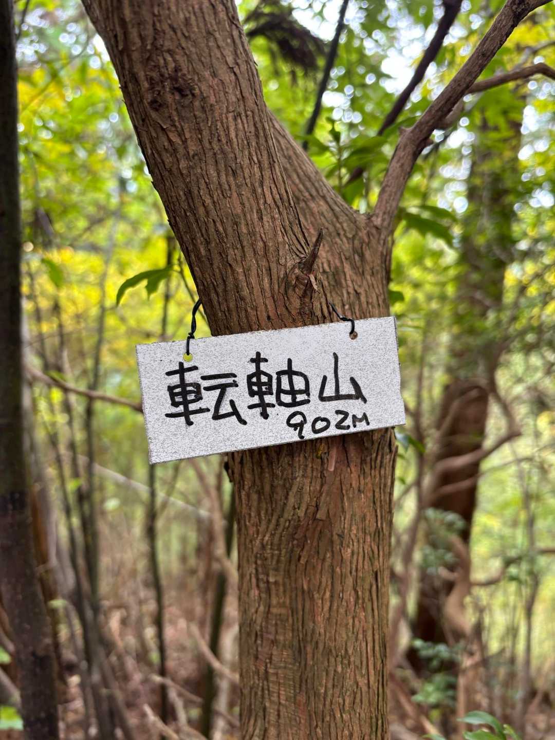 女人道巡り・高野三山巡り②の写真