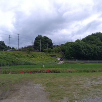 田原川をまじかで観られるスポットへ