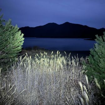 夜の本栖湖