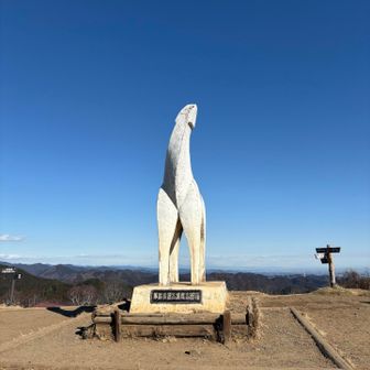 お久しぶりです。