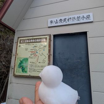 ヒヨコ愛する会の
会長のヒヨコ

