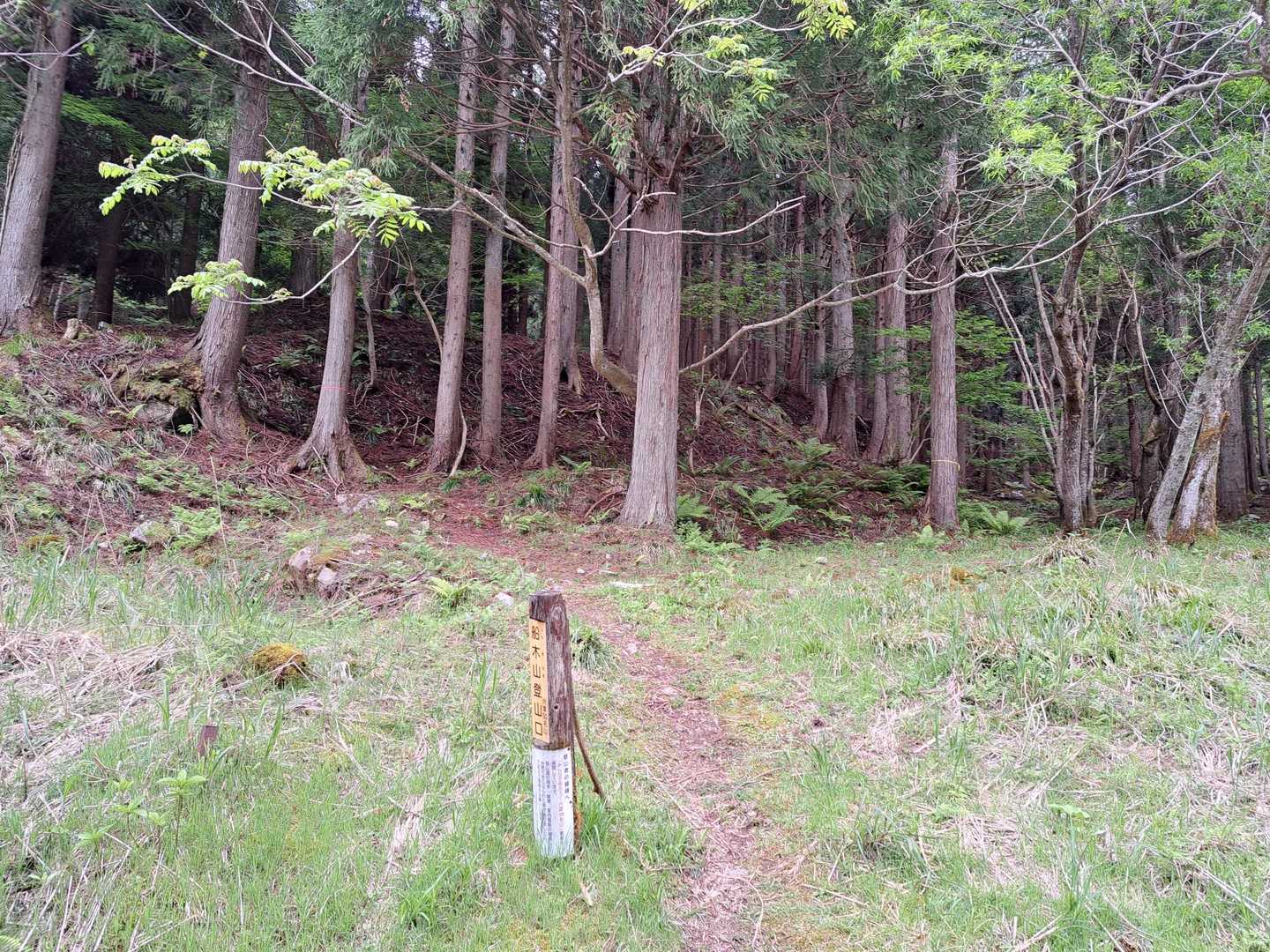 登山口