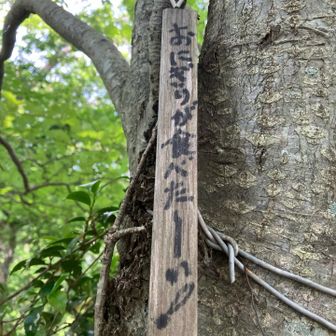 サンドイッチ山⛰️山頂🤣