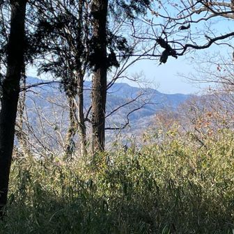 「浅間山」は本日お休み