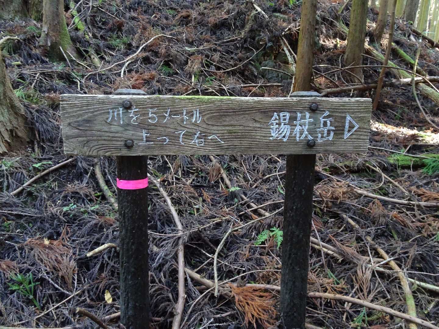 細かい案内です😆