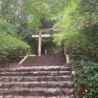 登山口スタート▶️