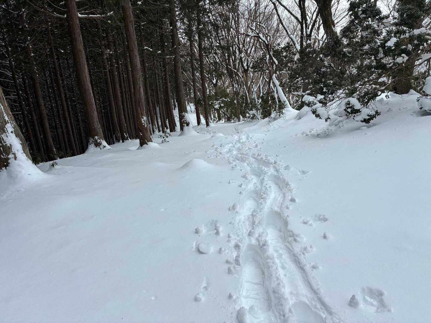 下山は自分のトレースを辿ります