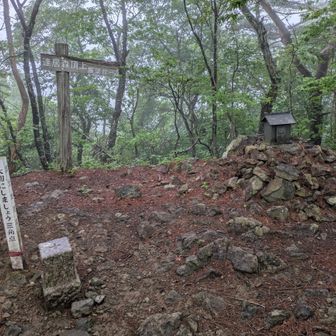 雨の日は汗出るんだよね、飽和水蒸気圧の問題で