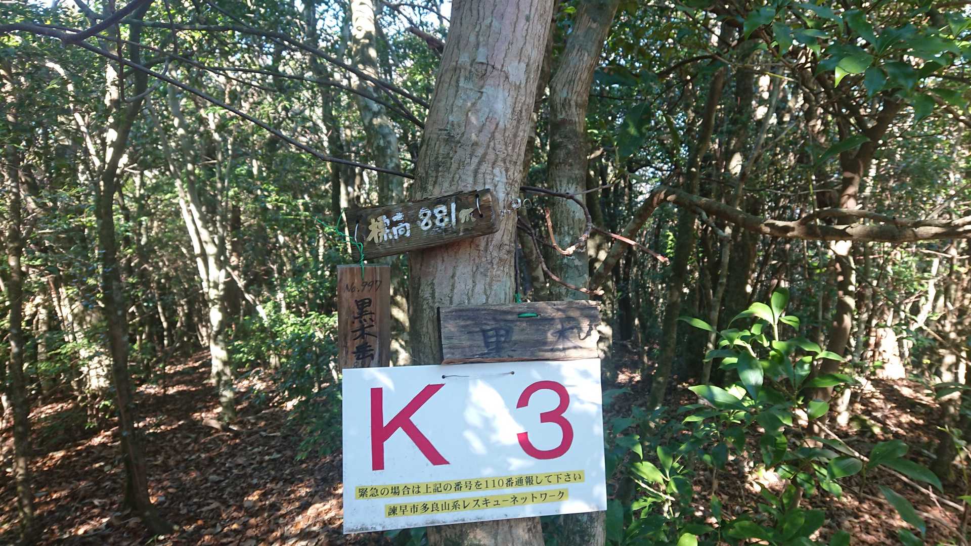 そして折り返して黒木岳！