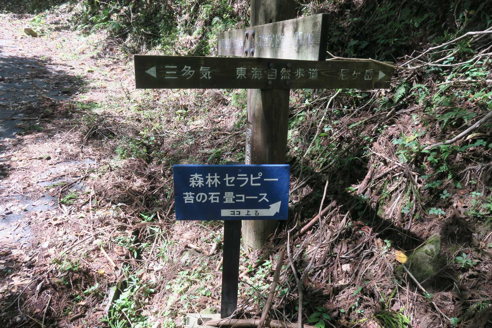 素晴らしい森林セラピーでした。おすすめです。
