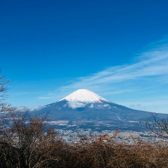 ここからの眺めも良かった😊
堪能したら金時山まで戻ります👣