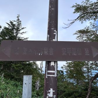 さぁ安平路山へ