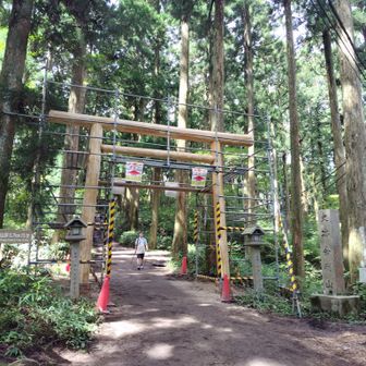一ノ鳥居と説明板の足から土台が新しくなっていました✨