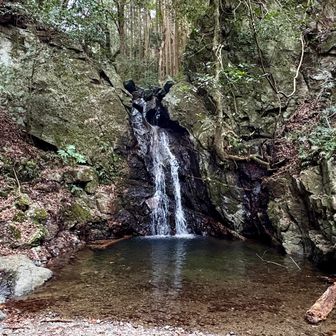 滝
小学生のころ夏ここで遊んでたな