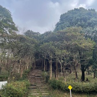 優しい勾配🚶‍♂️