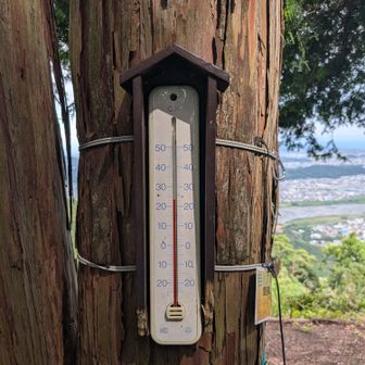 山頂の温度は23c〜24cくらいで割りと涼しかった。