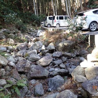パノラマルート周りで
駐車場に戻ってきた