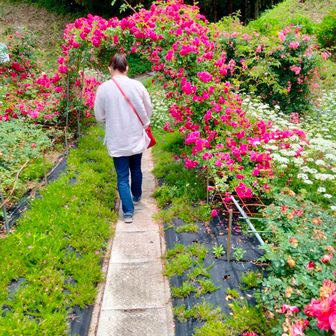 ゲーコ🍎🍉🥨🍮🍣🍺🎣