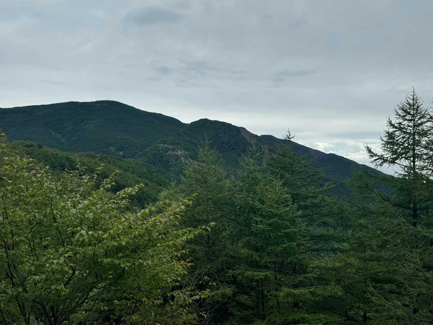 車坂峠-高峰神社-高峯山 往復コースの写真