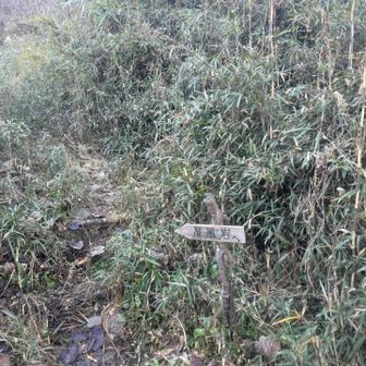 降りちゃった…