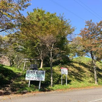 登山道も整っていて登りやすかった♪