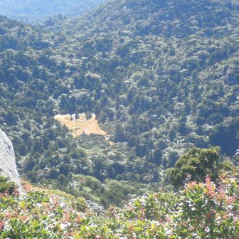 下の方に花之江河が見えました