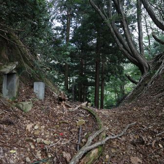 大内峠に出ました。