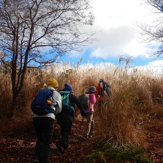 ススキ🌾を抜けて深山に戻ります